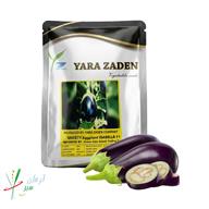 بادمجان هیبرید رقم ایزابلا (YE 2325)